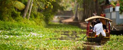 Travellers experience the lull of the Kerala Backwaters as part of their Discovery Tour in India. A local man takes travellers on a canoe through the Kerala Backwaters in India.